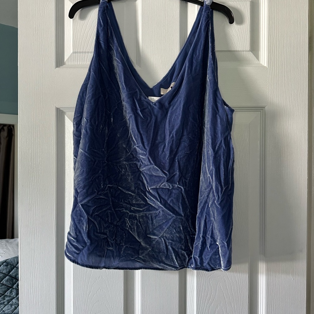 LOFT Blue Velvet Tank Top